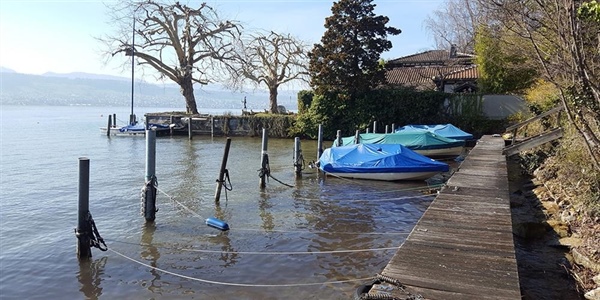 Bootsplätze im Hafen Feldmeilen